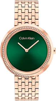 Часы Calvin Klein Twisted 25100068